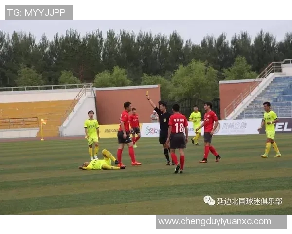 延边北国与沈阳城市的精彩对决展现足球魅力与激情碰撞
