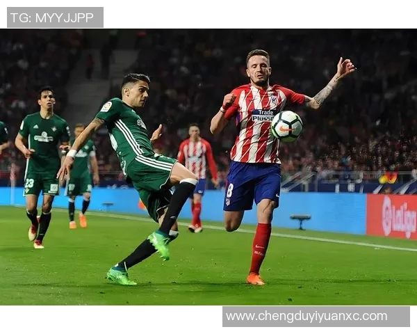 瓦尔韦克与芬洛激战正酣谁能在这场较量中笑到最后